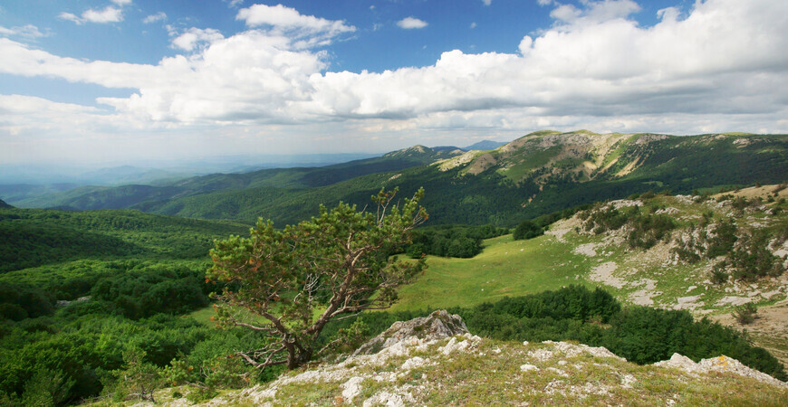 Крымский природный заповедник